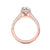 Diamond Shanks Engagement Ring