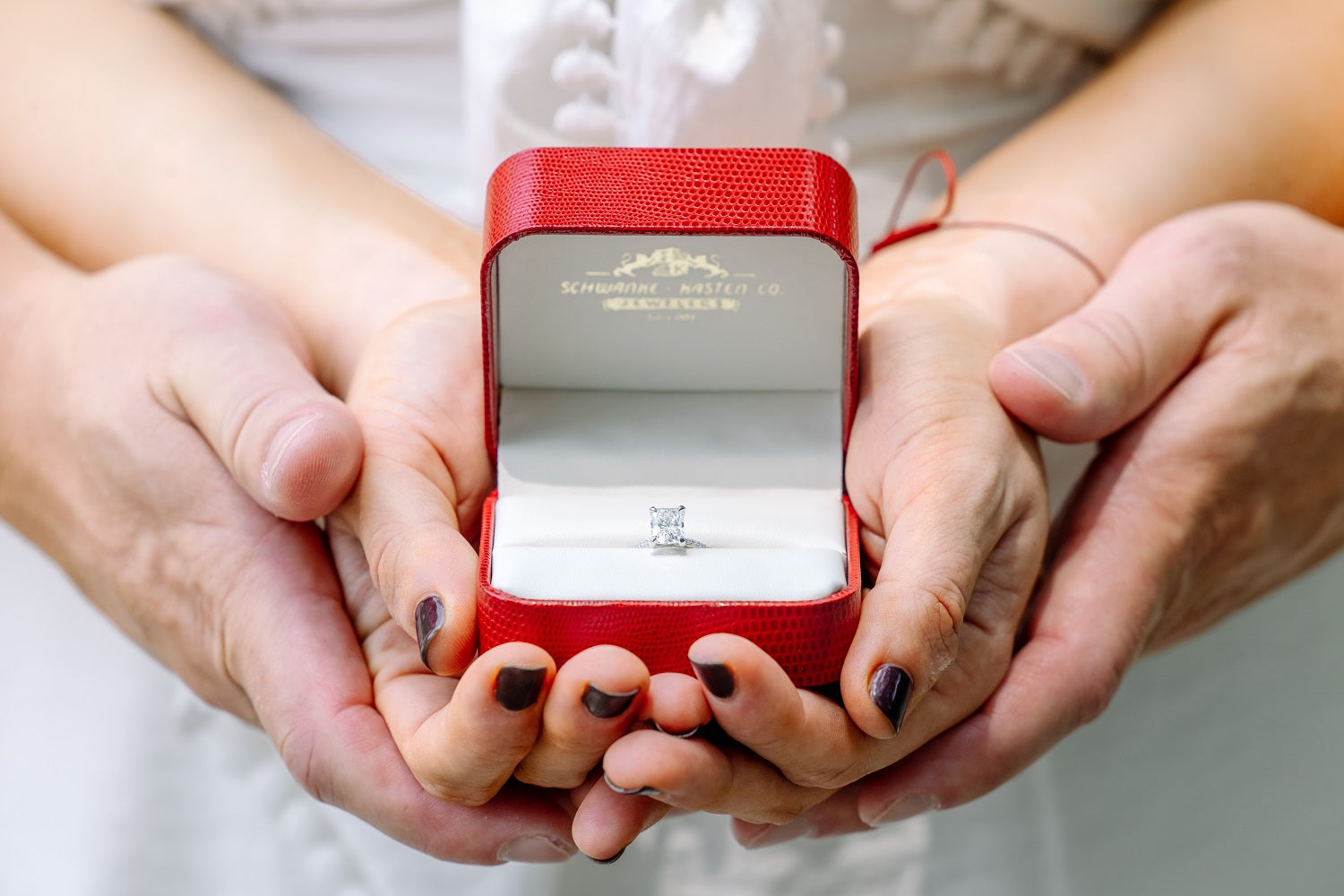 Schwanke-Kasten Engagement Ring Proposal