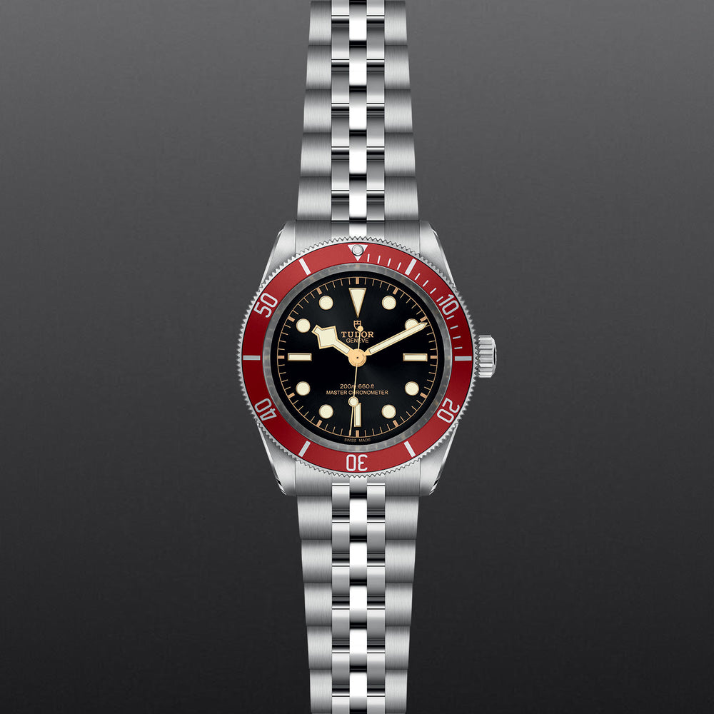 TUDOR Black Bay