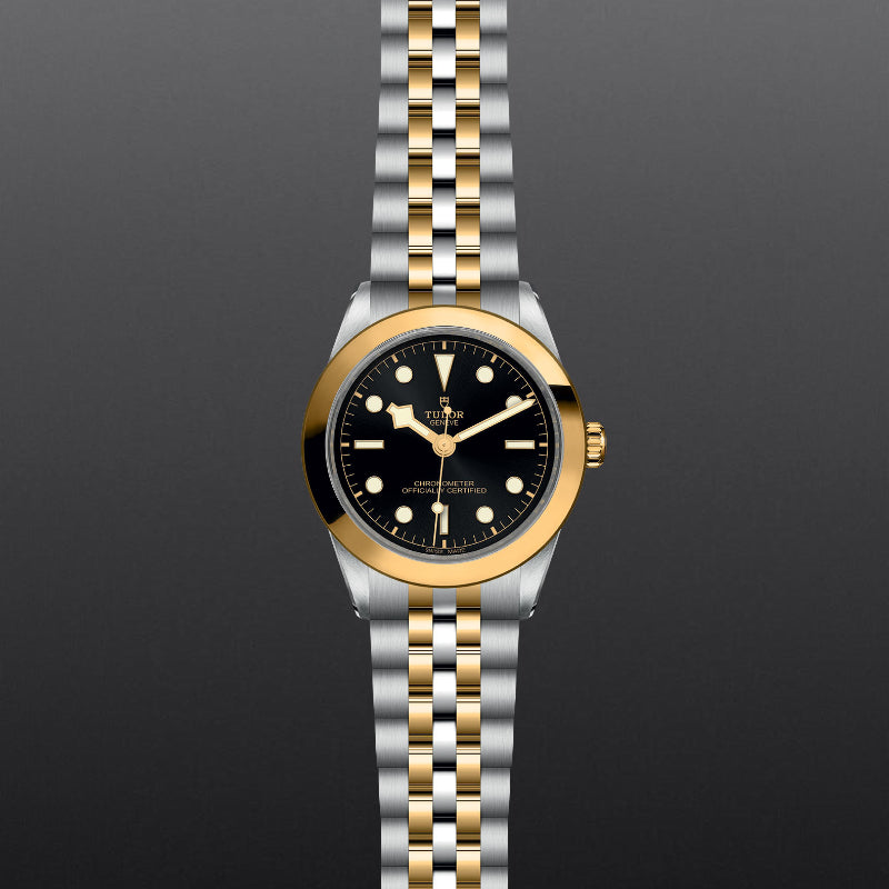 TUDOR Black Bay 39 S&G