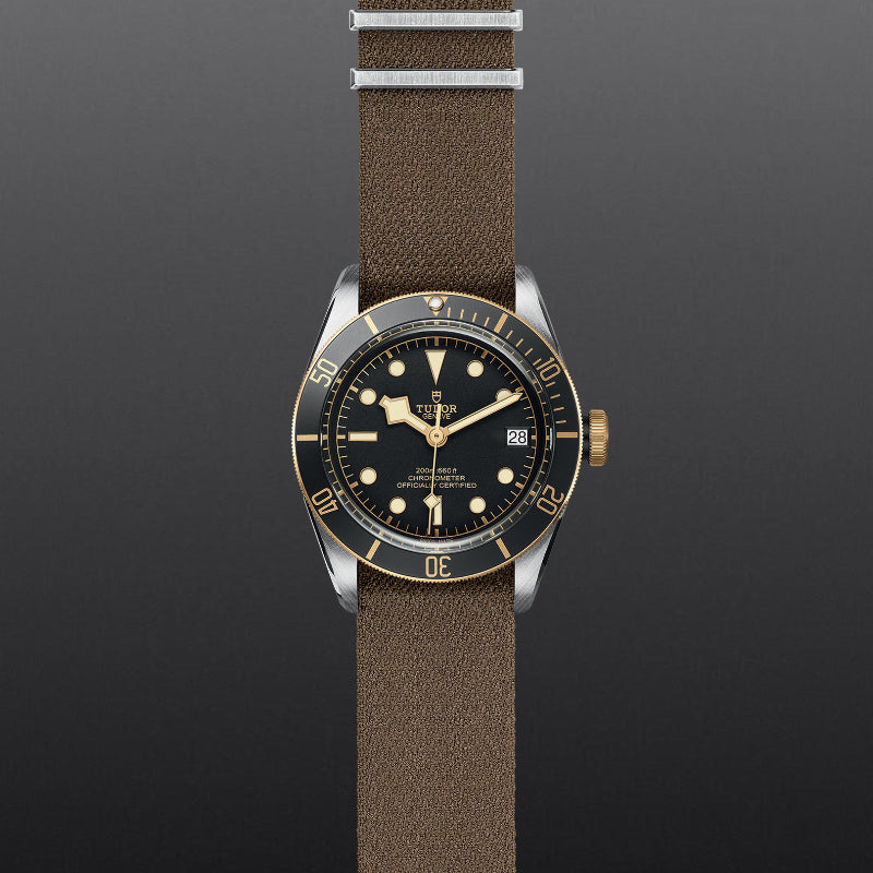 TUDOR Black Bay S&G 41mm S&G