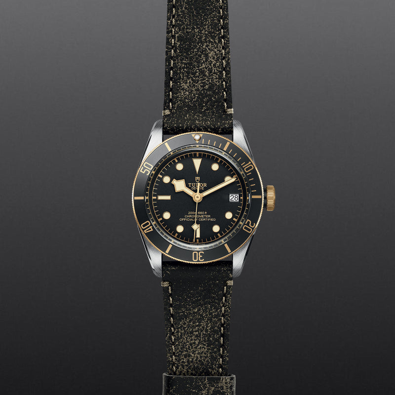 TUDOR Black Bay S&G 41mm S&G