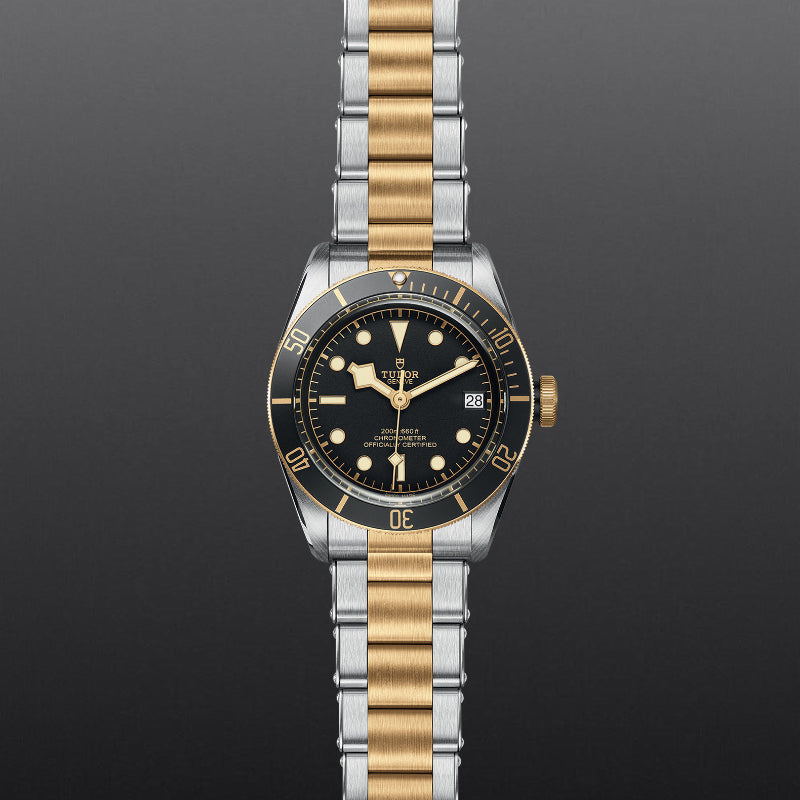 TUDOR Black Bay S&G 41mm S&G