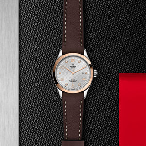 Tudor 1926 28mm Steel and Rose Gold M91351-0006 background