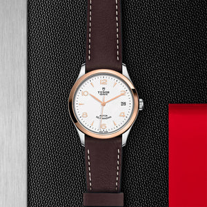 Tudor 1926 36mm Steel and Rose Gold M91451-0010 background