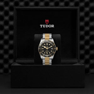 Tudor Black Bay S&G 41 M79733N-0008 presentation box