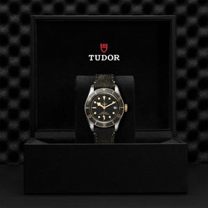 Tudor Black Bay S&G 41 M79733N-0007 presentation box