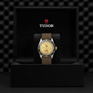 Tudor Black Bay S&G 41 M79733N-0006 presentation box