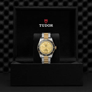 Tudor Black Bay S&G 41 M79733N-0004 presentation box
