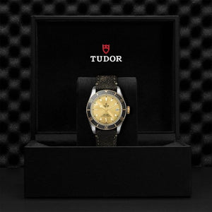 Tudor Black Bay S&G 41 M79733N-0003 presentation box